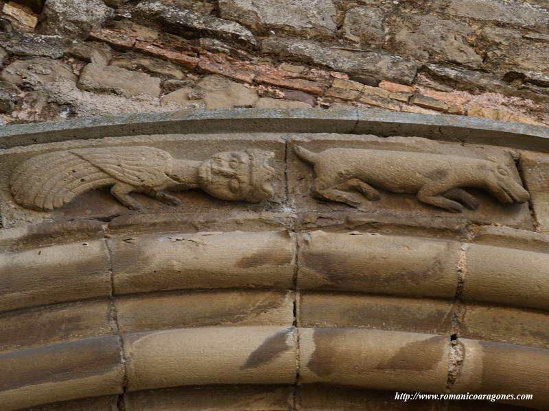 DETALLE DEL GUARDAPOLVO